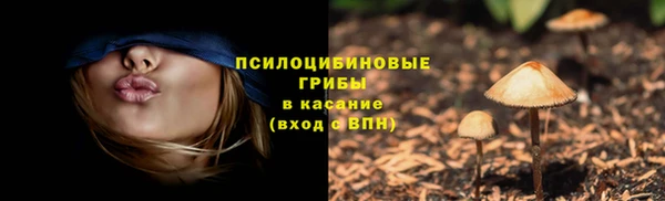 каннабис Ельня