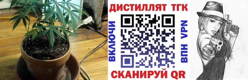 OMG вход  Каргополь  ТГК концентрат 